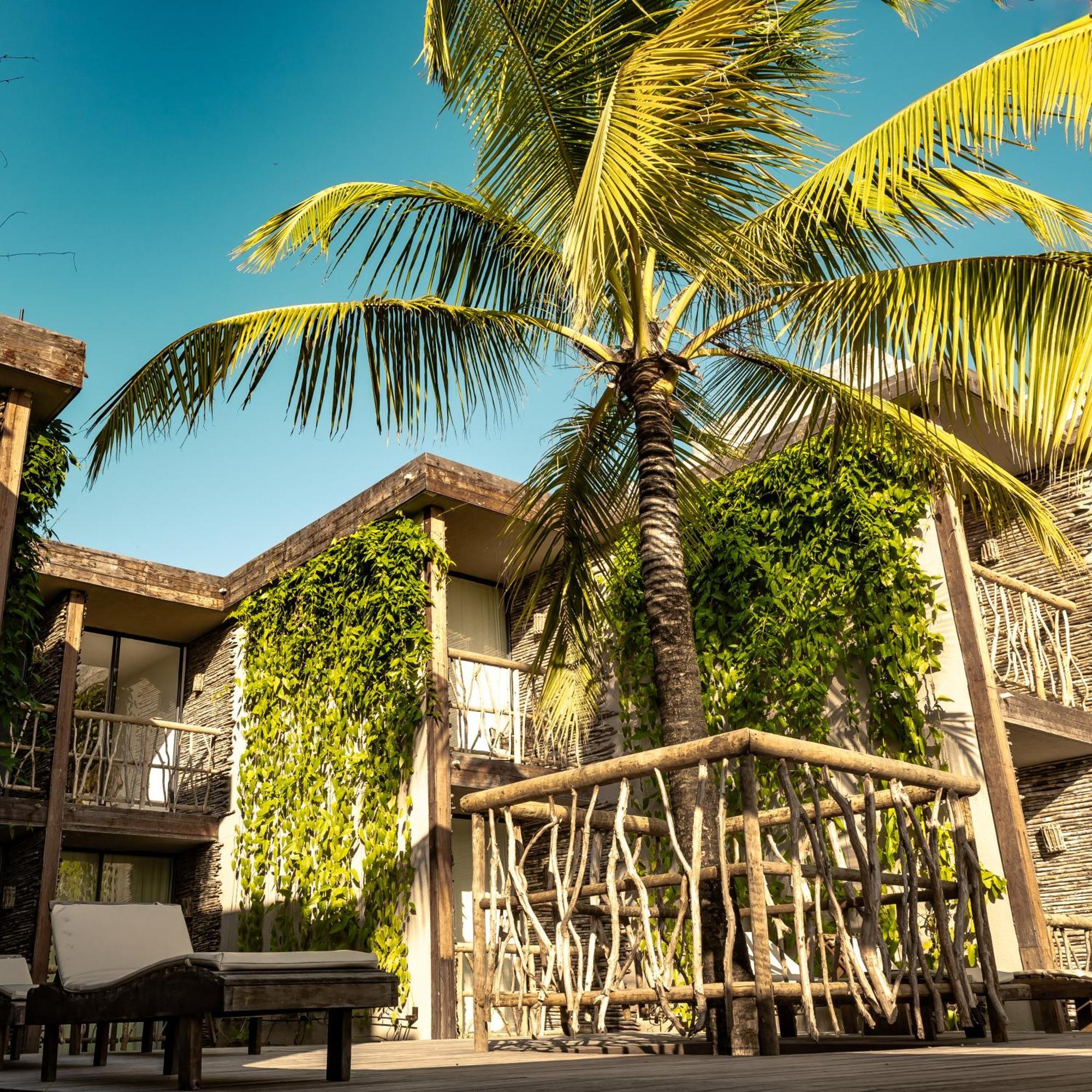 Apenunga Eco Hotel Jijoca de Jericoacoara Εξωτερικό φωτογραφία